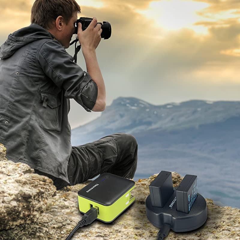 DMWBLE9  Replacement Battery 2 Pack and Dual USB Charger for Panasonic DMWBLE9 DMWBLG10 and Panasonic Lumix DMCZS60 DMCZS100 DMCLX100DCLX100 IIDMCGF3 DMCGF5 DMCGF6 DMCGX7