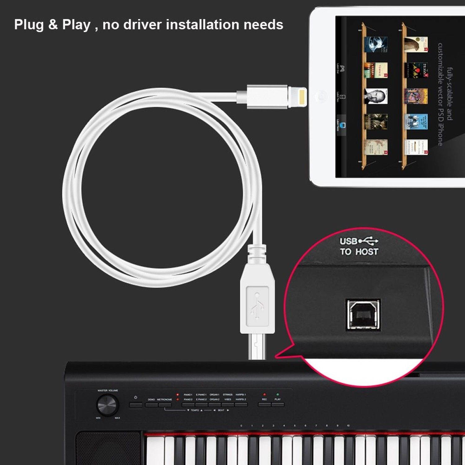 8Pin to Type-B Converter USB 2.0 Cable for iPhone iPad MIDI Keyboard Organ