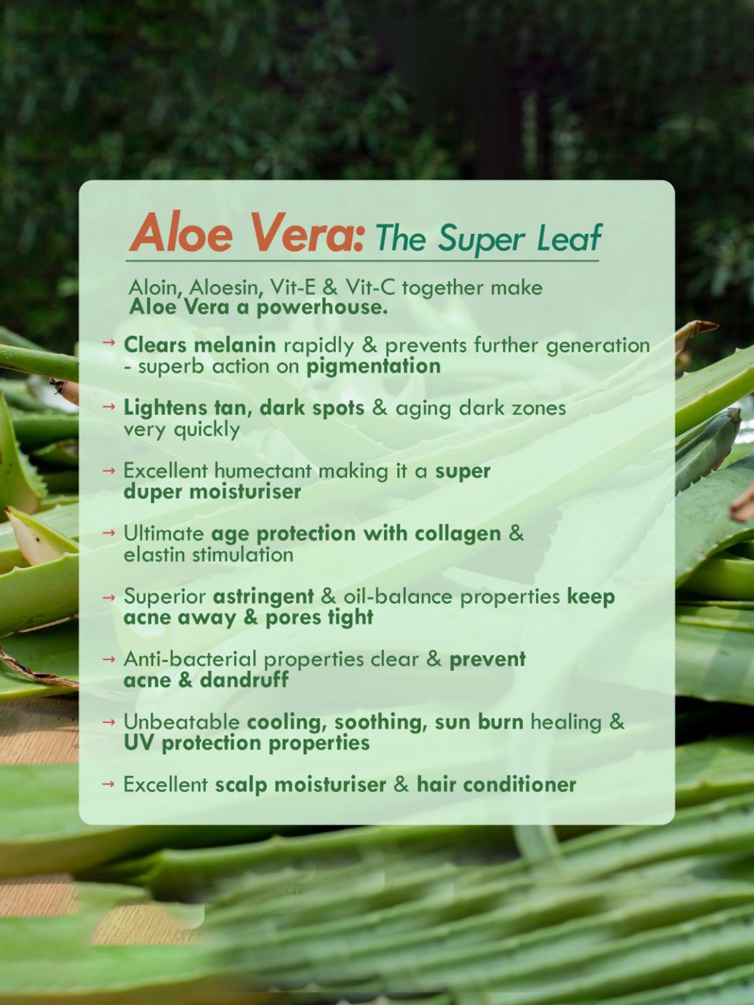 Nat Habit Fresh Pure Aloe Vera Gel - Pack of 2