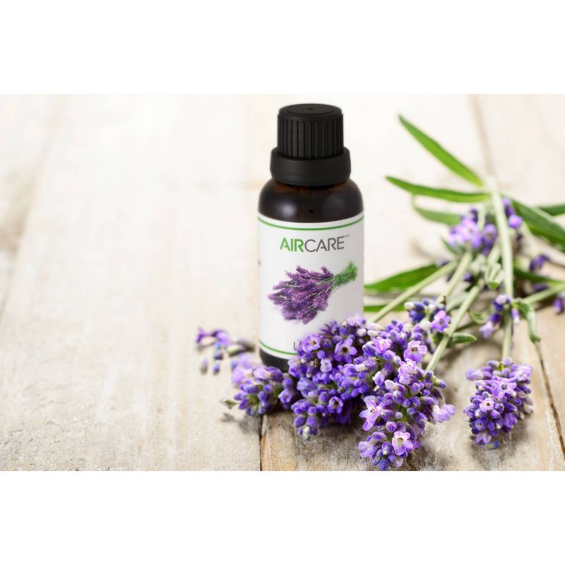 AIRCARE 30 ml Lavender Essential Oil
