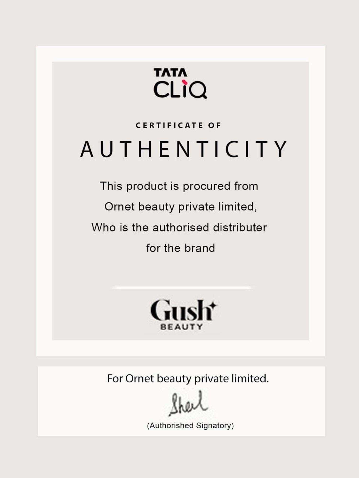 Gush Play Paint Lipstick The Big Picture - 2.8 ml