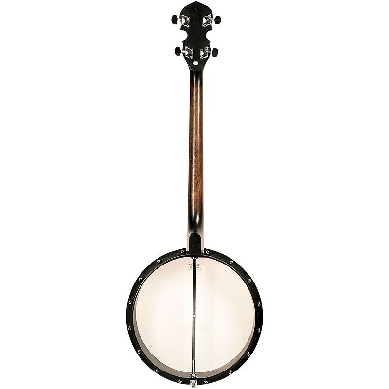 Gold Tone AC-4 Composite 4-String Openback Tenor Banjo