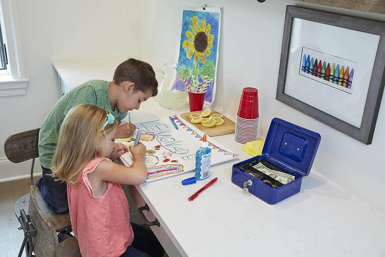 First Alert 1036620 Cash Box with Key Lock and Removable Tray.1 Cubic Ft, Blue