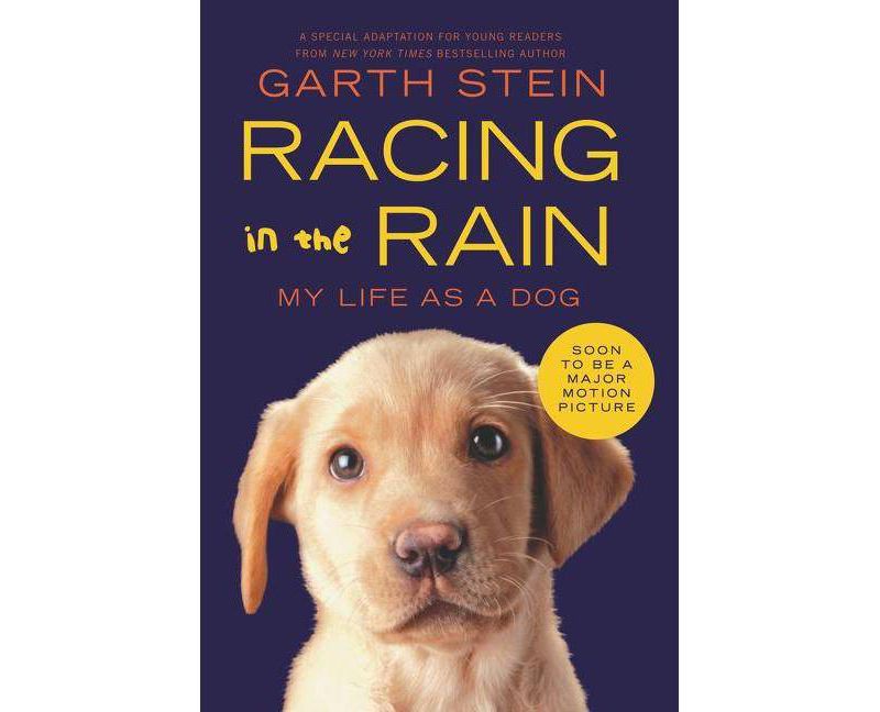 Racing in the Rain (Paperback) by Garth Stein