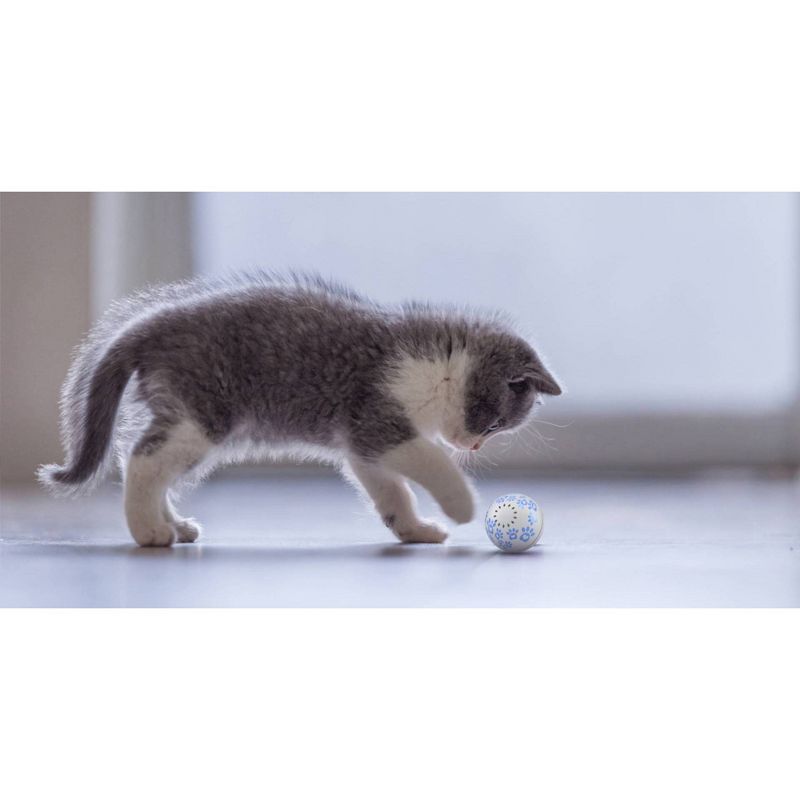 Pet Genius Smart Pet Play Ball