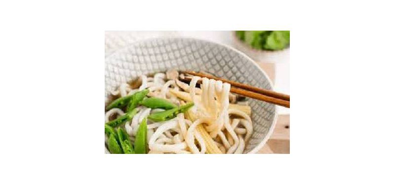 Myojo Udon Oriental Flavor Japanese Style Noodles Soup 7.28oz