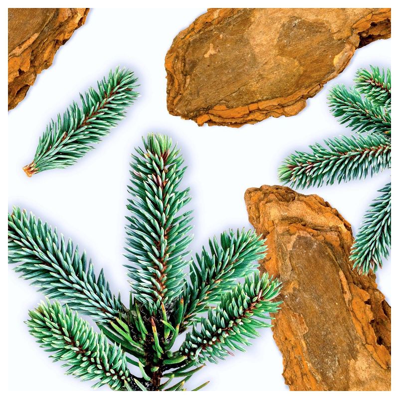 Love Beauty and Planet Marula Oil and Cedar Wood Hand Lotion - 1 fl oz