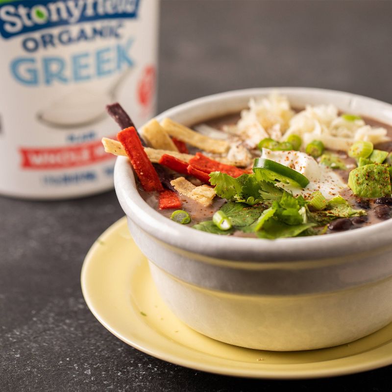 Stonyfield Organic Fat Free Plain Greek Yogurt - 32oz