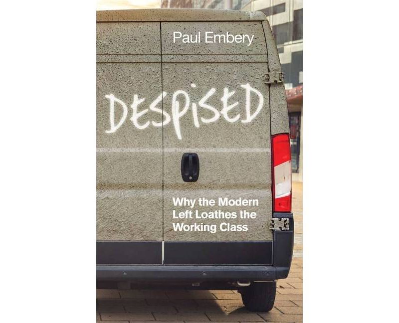 Despised - by  Paul Embery (Hardcover)