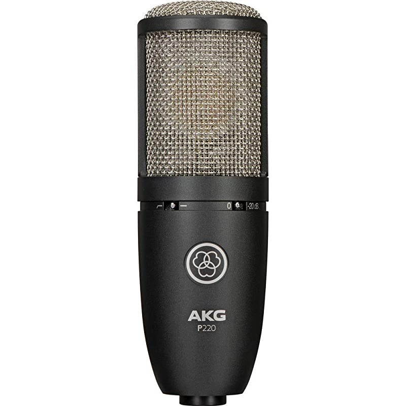 Project Studio P220 Large Diaphragm Condenser Microphone With Pop Filter and XLR To XLR Cable