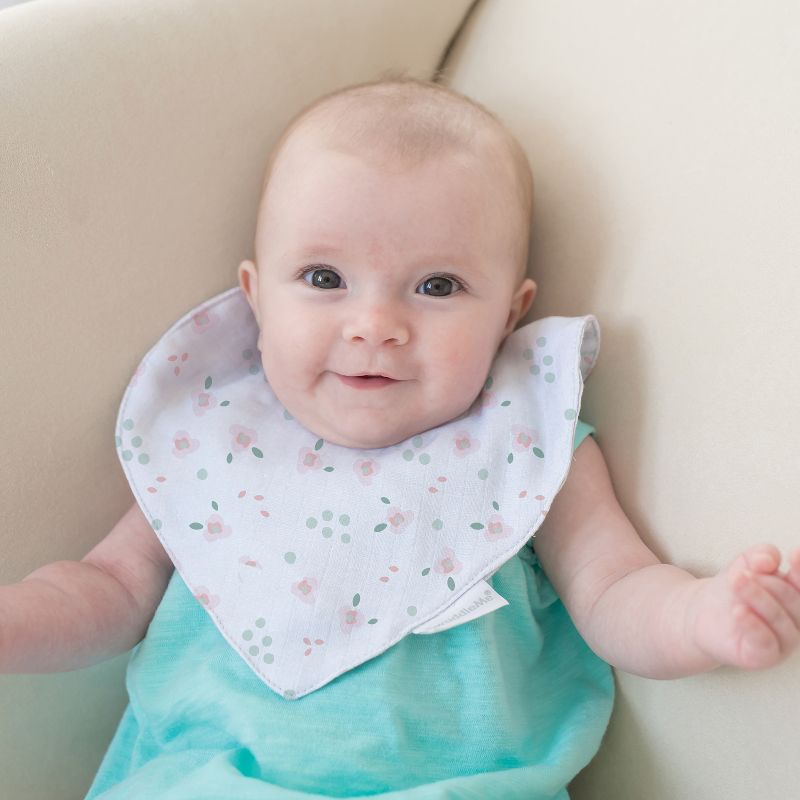 SwaddleMe Sweet Dreams Swaddle Blanket Gift Set - Owl Garden