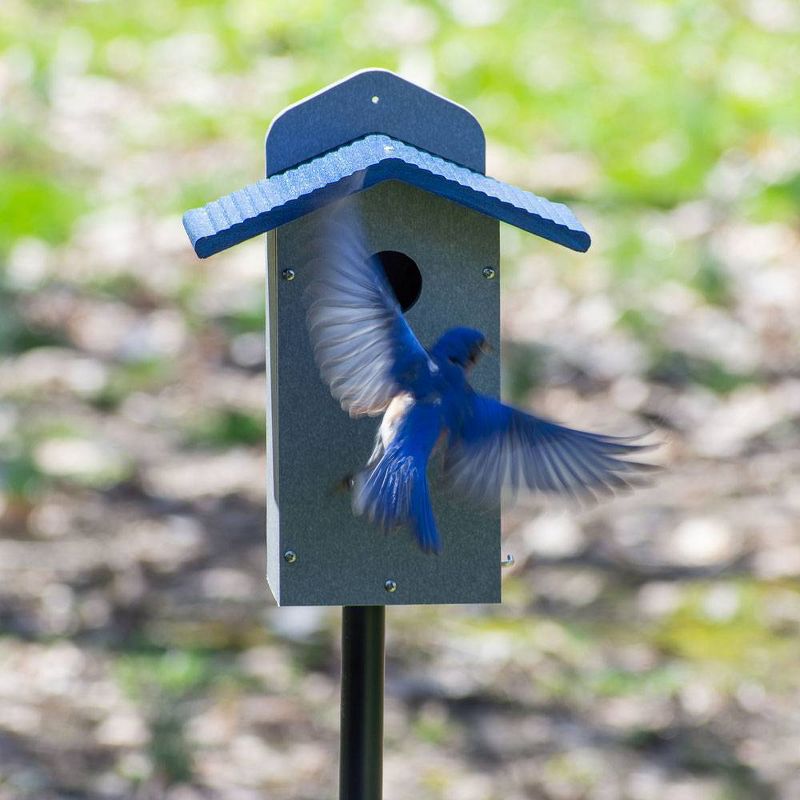 Birds Choice Green Solutions Rustic Recycled Bluebird House Blue