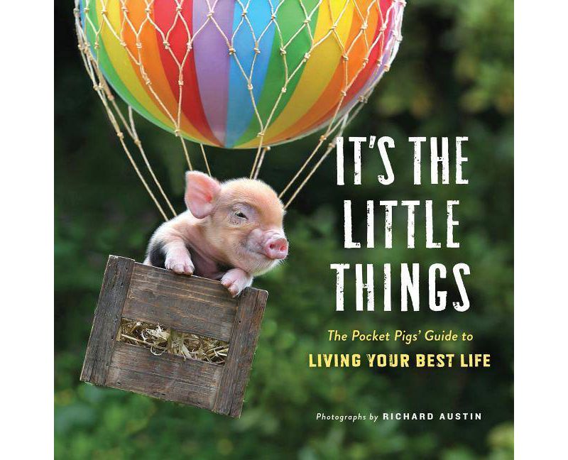 It's the Little Things - Richard Austin(Hardcover)