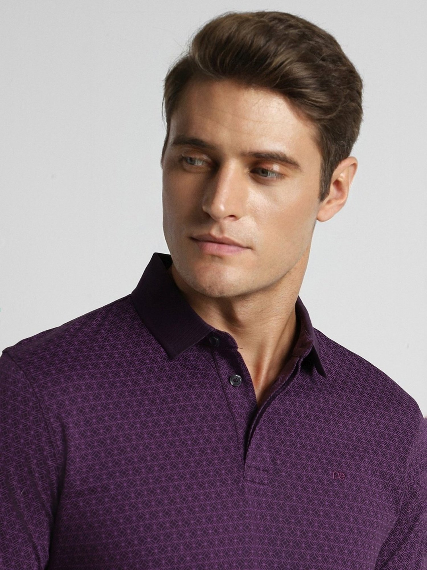 Peter England Purple Cotton Regular Fit Printed Polo T-Shirt