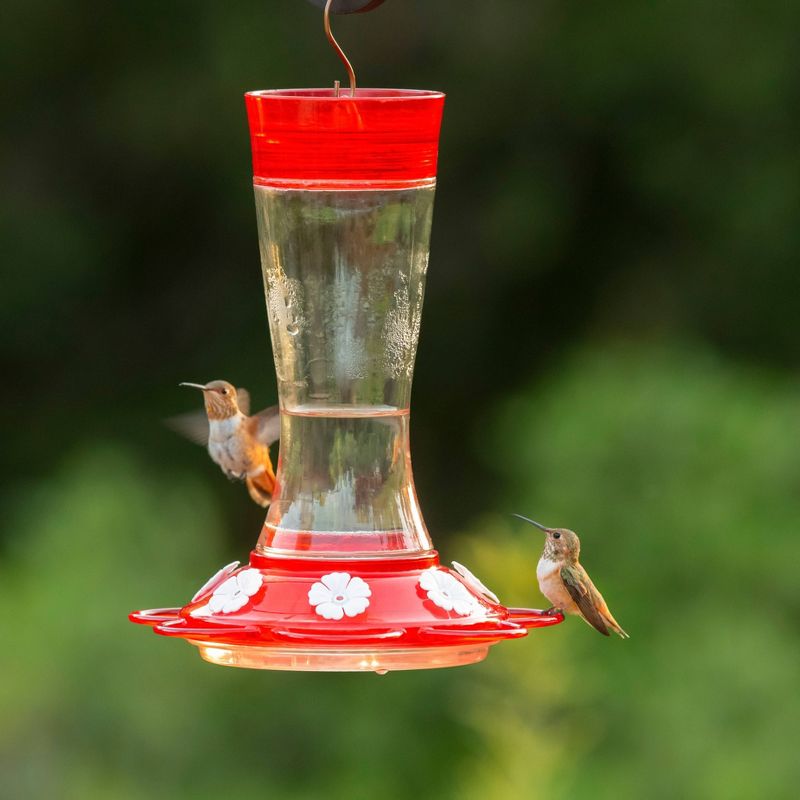 Droll Yankees More Birds Garnet Hummingbird Feeder - Red/White