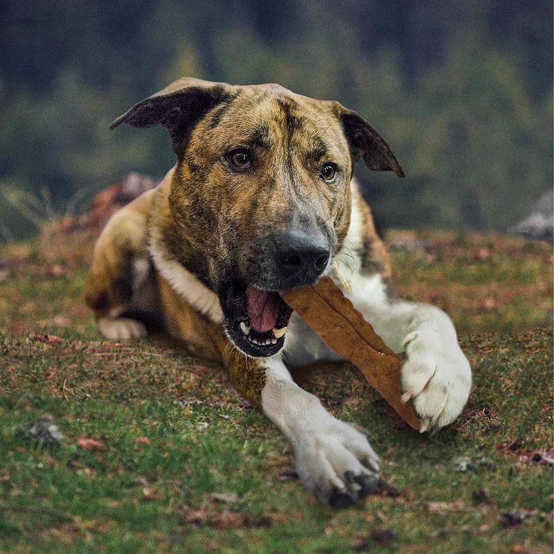 Cadet Peanut Butter Rawhide Curls (1 lb Pack)