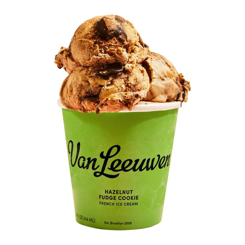 Van Leeuwen Hazelnut Fudge Cookie Ice Cream - 14oz