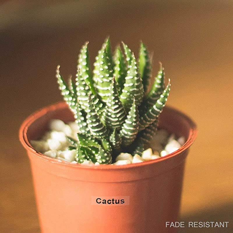 Pack Replace TZe131 12mm 07 inch Black on Clear Standard Laminated TZ131 Tape Compatible with Brother PTouch Label Maker PTD210 PTH110 PTD600 PT1230PC PT1280