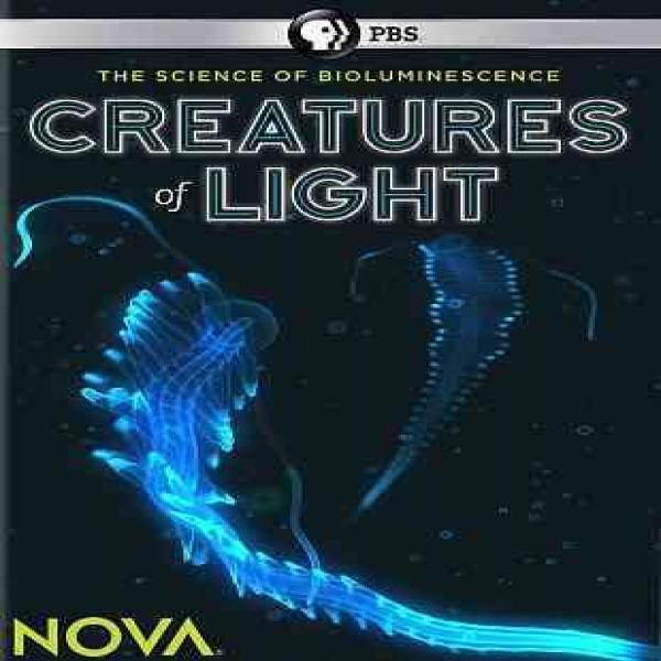 PBS NOVA-CREATURES OF LIGHT (DVD) DNOVA6306D