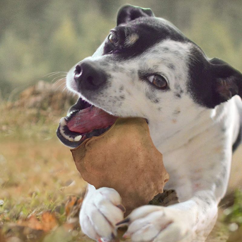 Cadet Rawhide Peanut Butter Basted Chips (1 lb Pack)