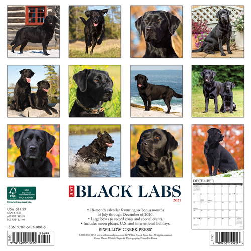 2021 Black Labs Wall
