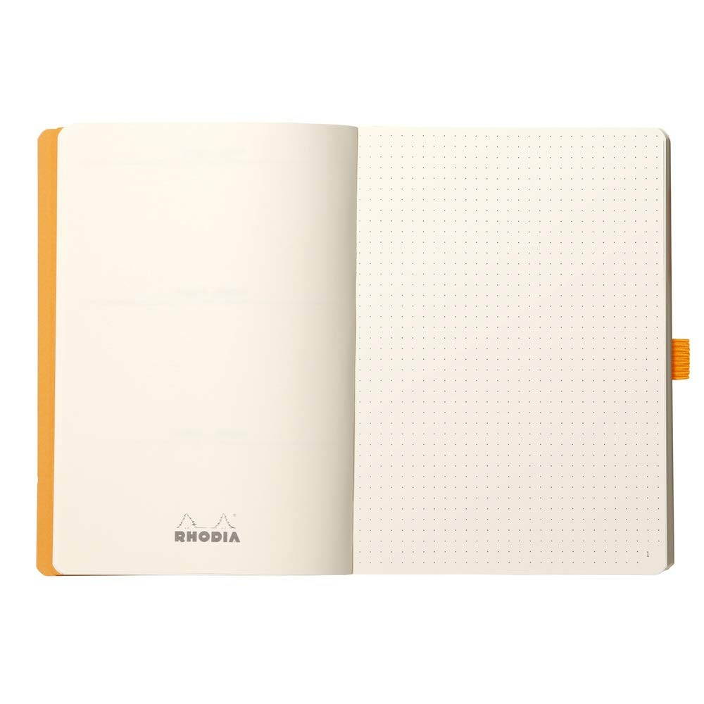 Rhodia Goalbook - Dot Grid 224 Numbered pages - 6 x 8 1/4 - Silver