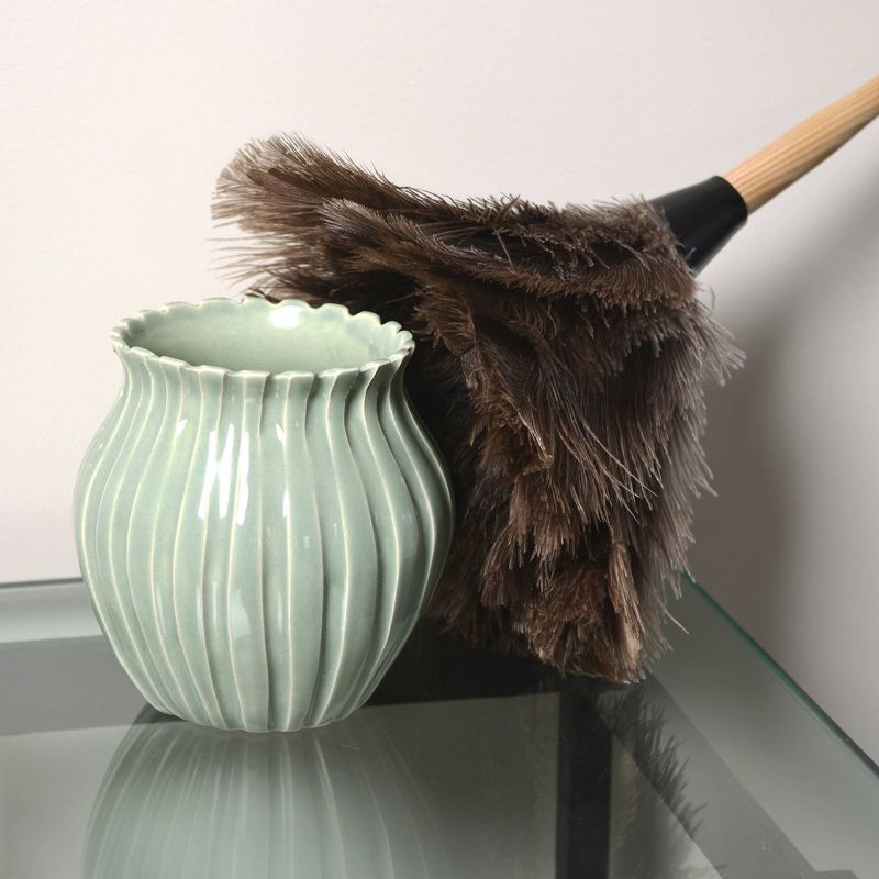 Wayclean Feather Duster