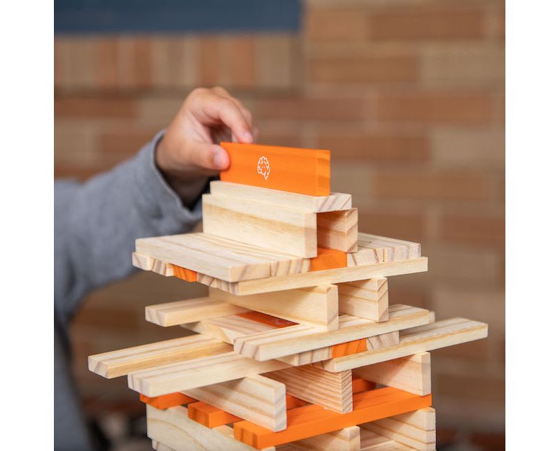  Fat Brain Toys Timber FB208-1 300 Piece Set