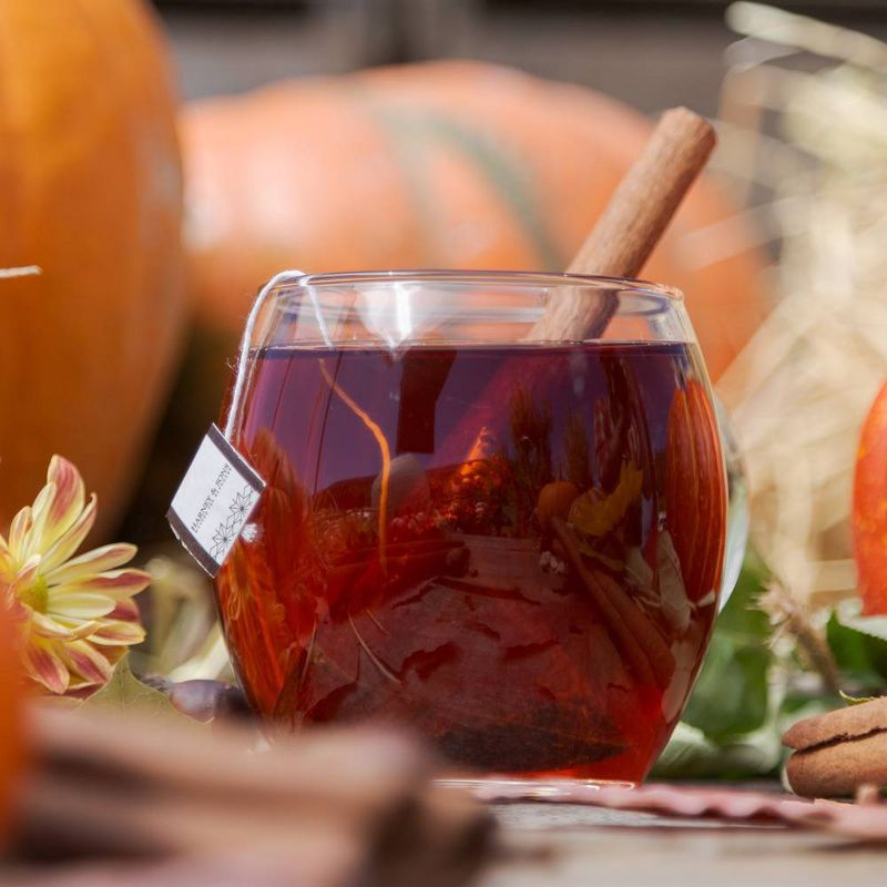 Harney & Sons Pumpkin Spice Herbal Tea - 20ct