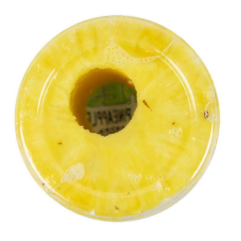 Pineapple Cored - 16oz