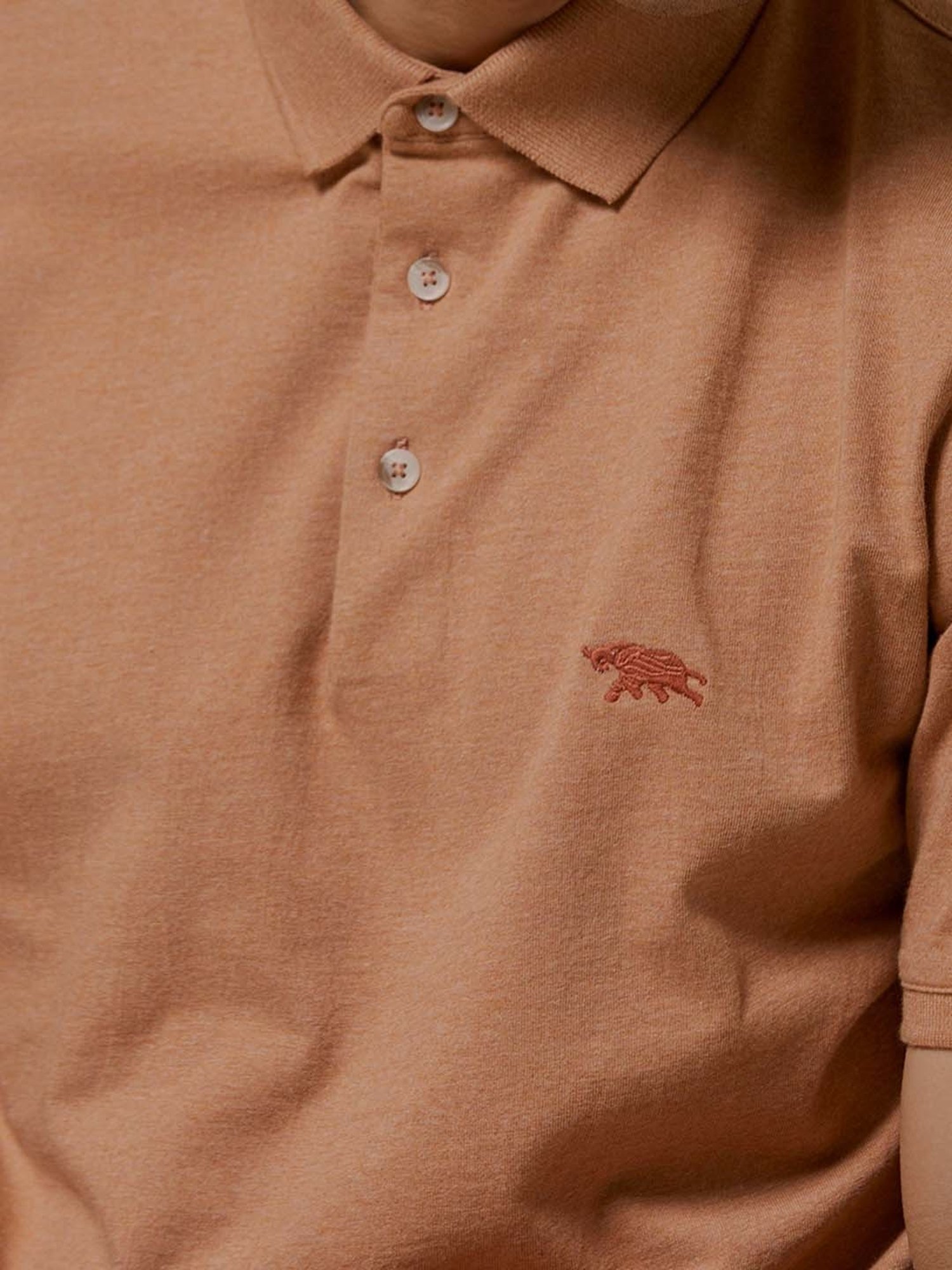 ANDAMEN Brown Melange Regular Fit Polo T-Shirt