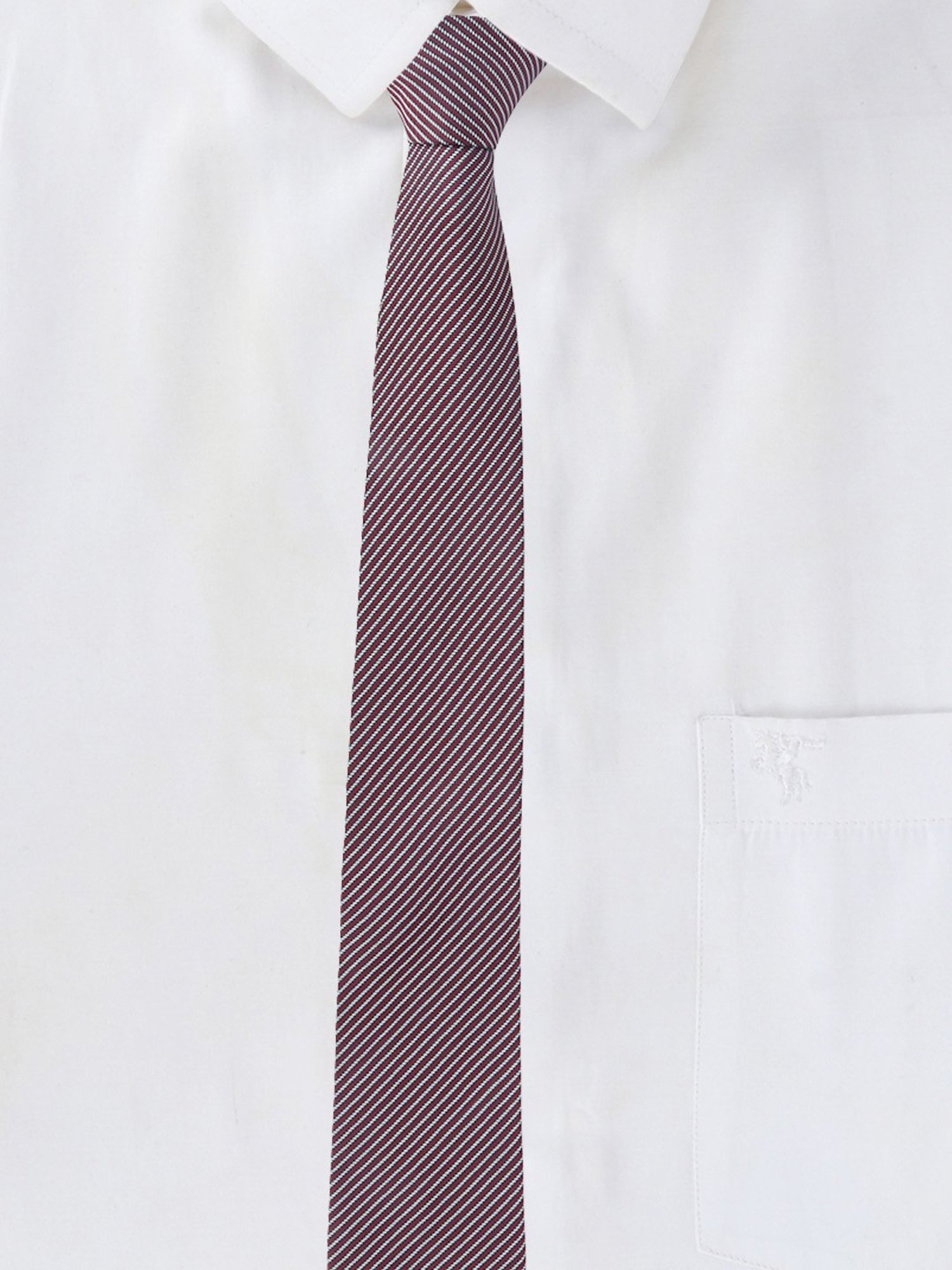 Alvaro Castagnino Printed Maroon & White Necktie