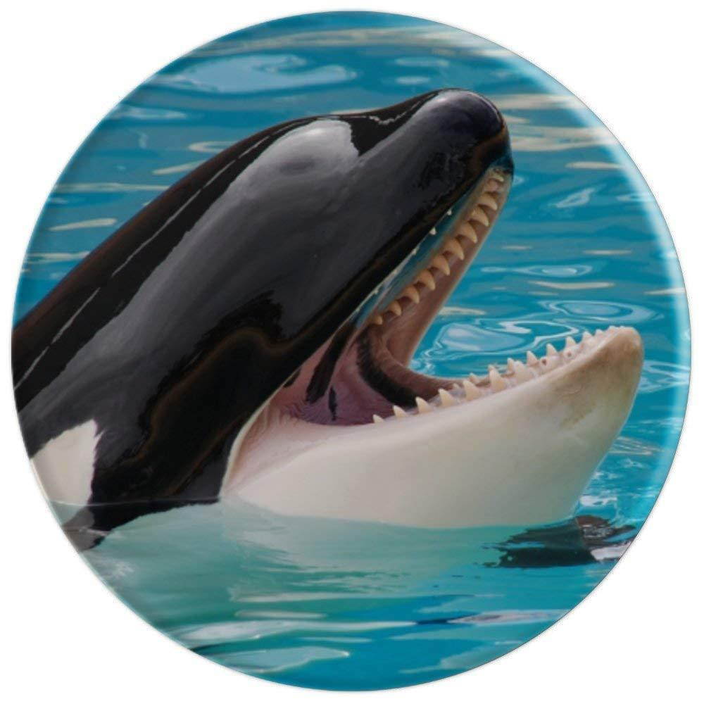 Orcas Rescue I Love Orcas Killer Whale Activist - PopSockets Grip and Stand for Phones and Tablets