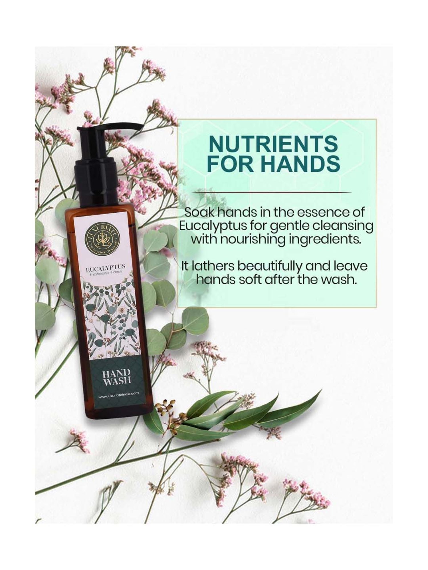 Luxuriate Eucalyptus Nutrients Gentle Foaming Liquid Hand Wash - 200 ml