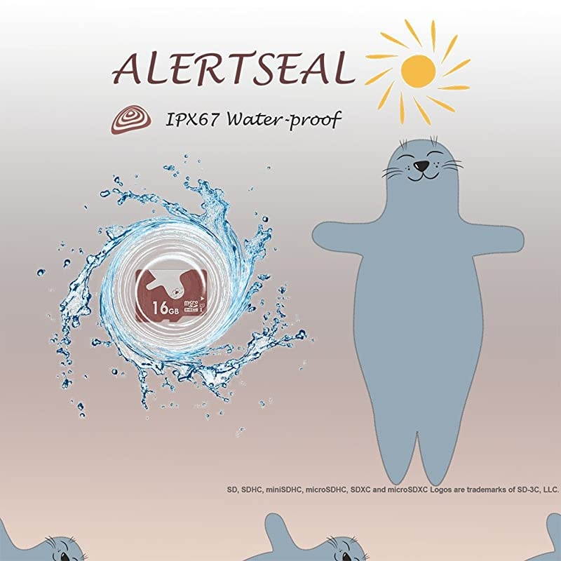 16GB UHSI U1 Class 10 C10 microSDHCTF Flash Memory Cards 2 pcs wSD adapters