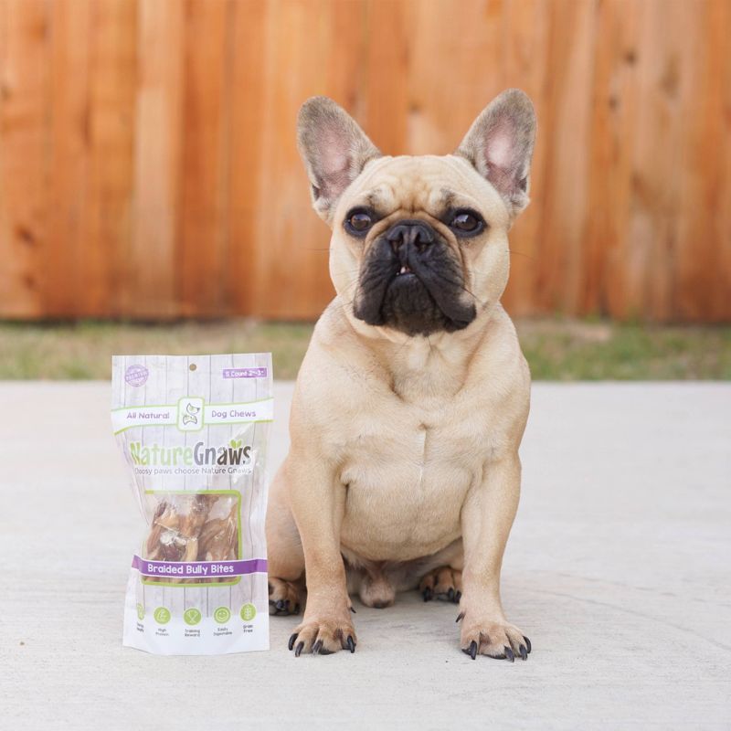 Nature Gnaws Braided Bully Bites 3-4" Jerky Beef Dog Treats- 15ct