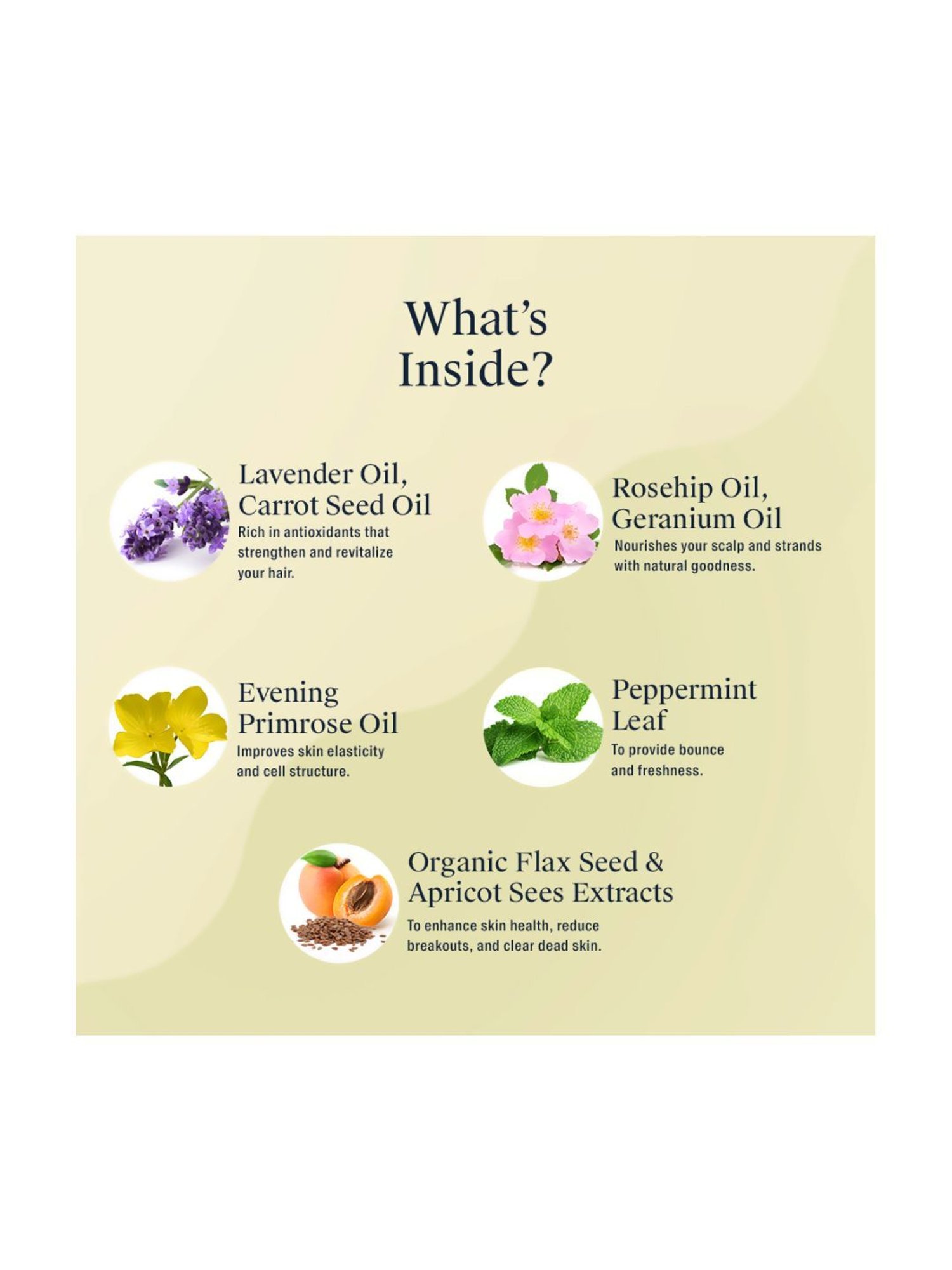 Arata Anti-Aging Face Kit