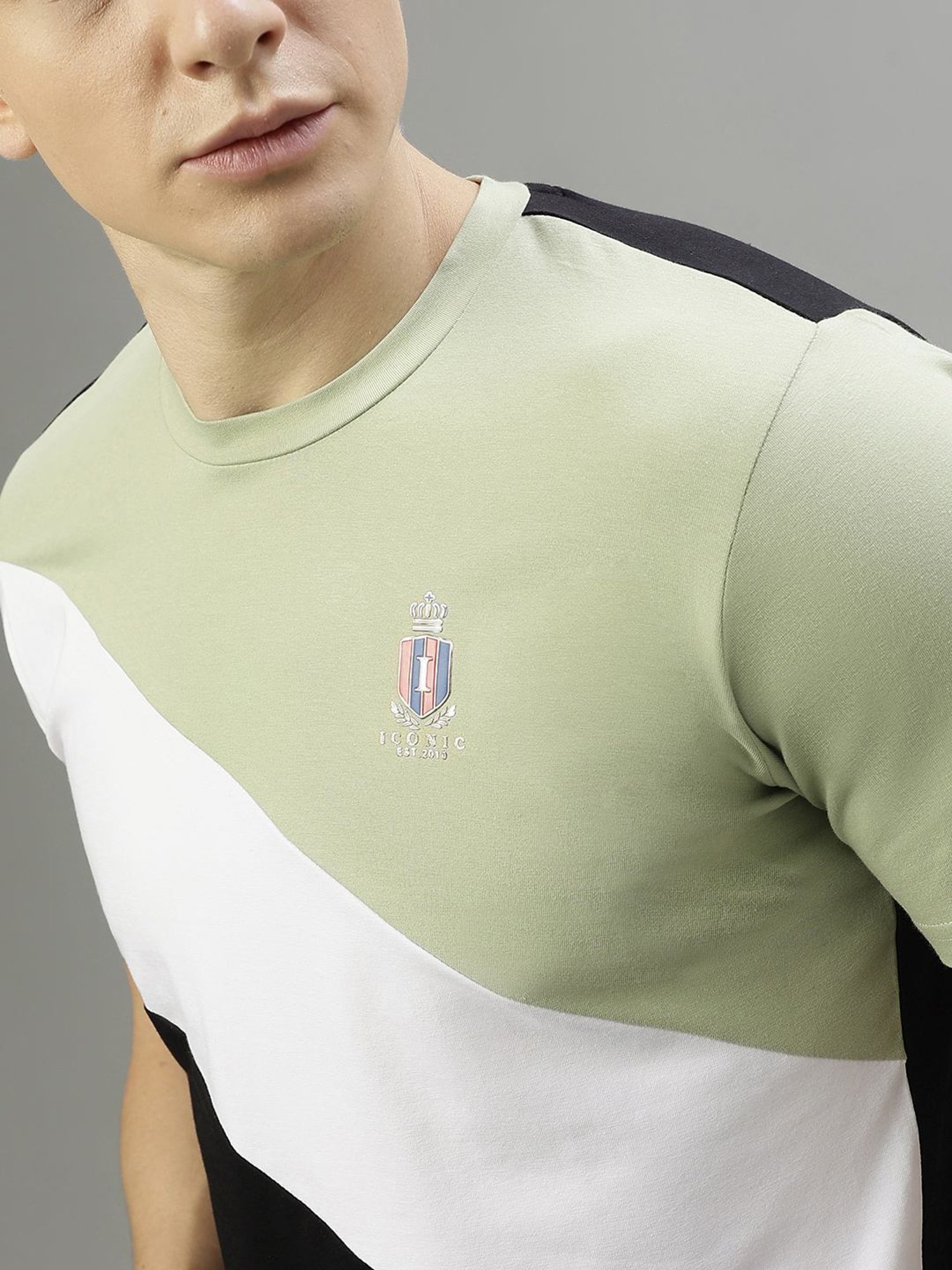 Iconic Men Colourblocked Regular Fit Cotton T-shirt
