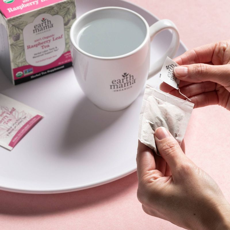 Earth Mama Organics Raspberry Leaf Tea
