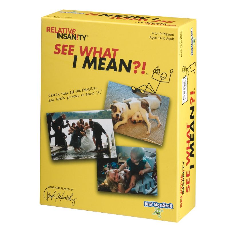 Playmonster Relative Insanity: See What I Mean Game