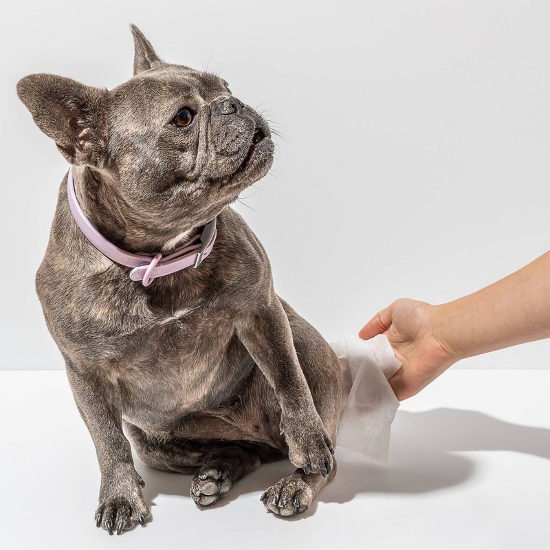 Wild One Biodegradable Grooming Dog Wipes - 70ct