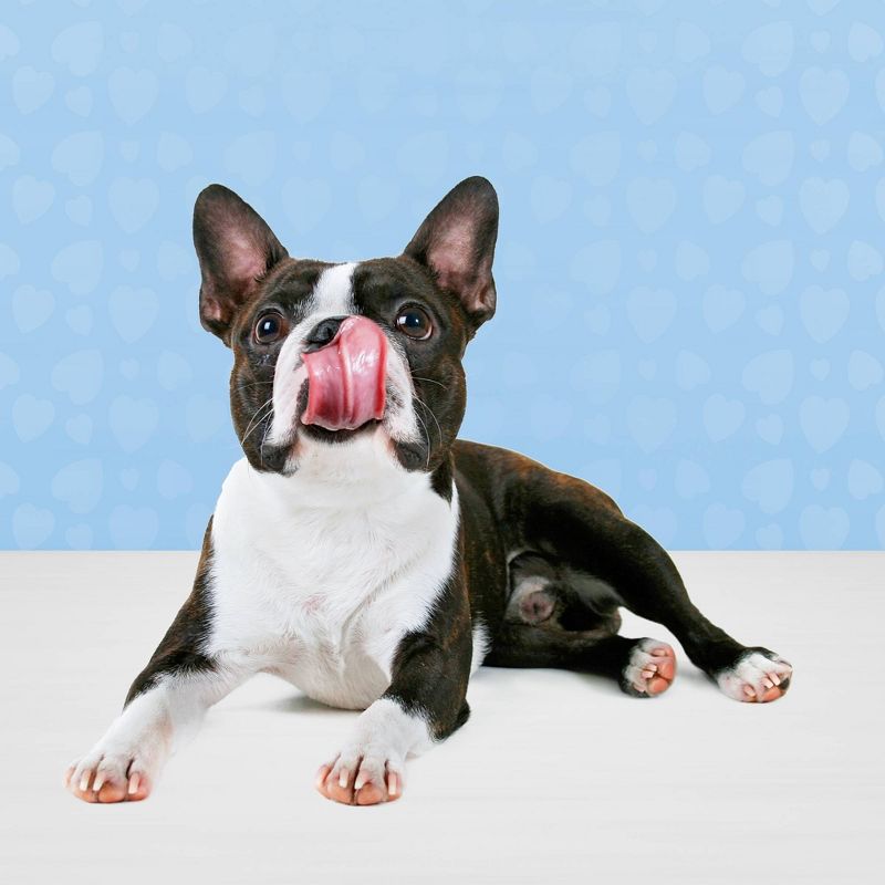 Blue Buffalo Beef,Salmon, Turkey and Chicken Dog Treat Variety Pack - 4oz