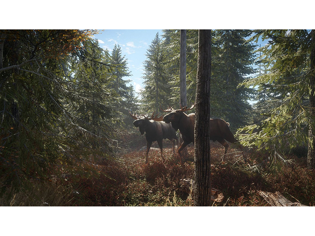 The Hunter: Call Of The Wild - Xbox One