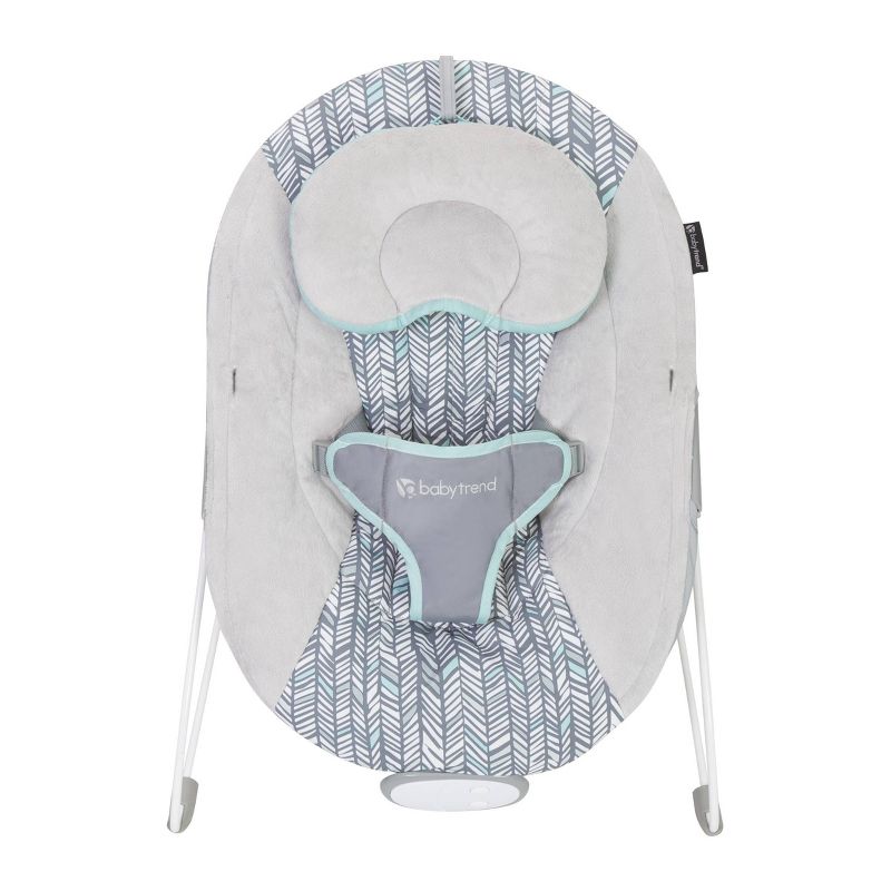 Baby Trend Bouncer - Ziggy