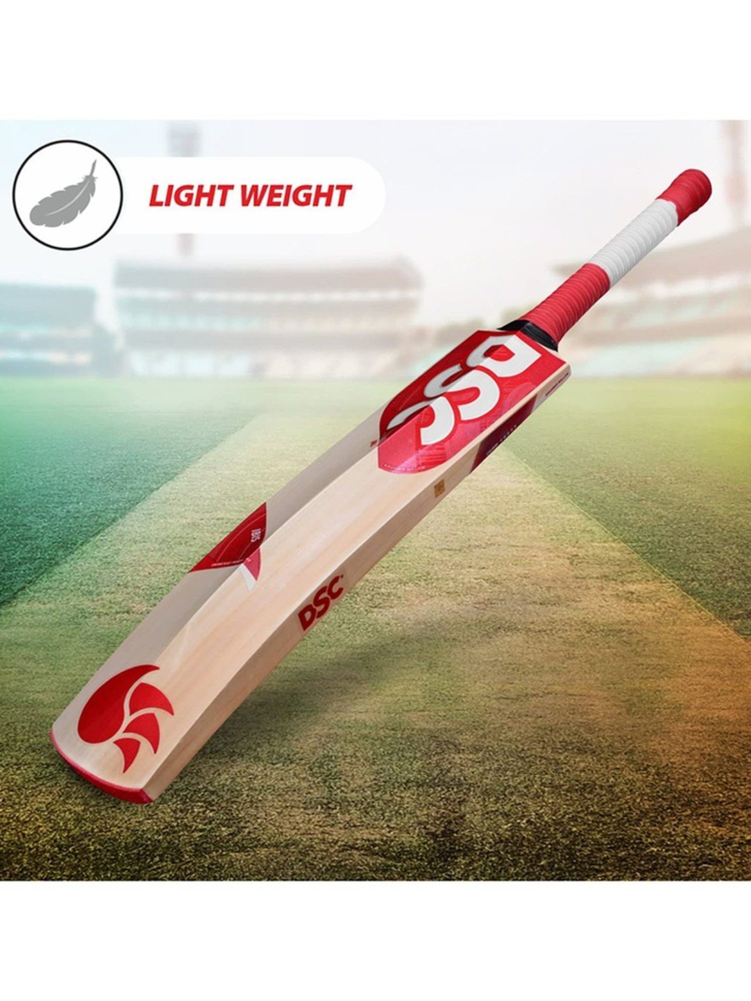DSC IBIS 77 Kashmir Willow Cricket Bat Size - 4
