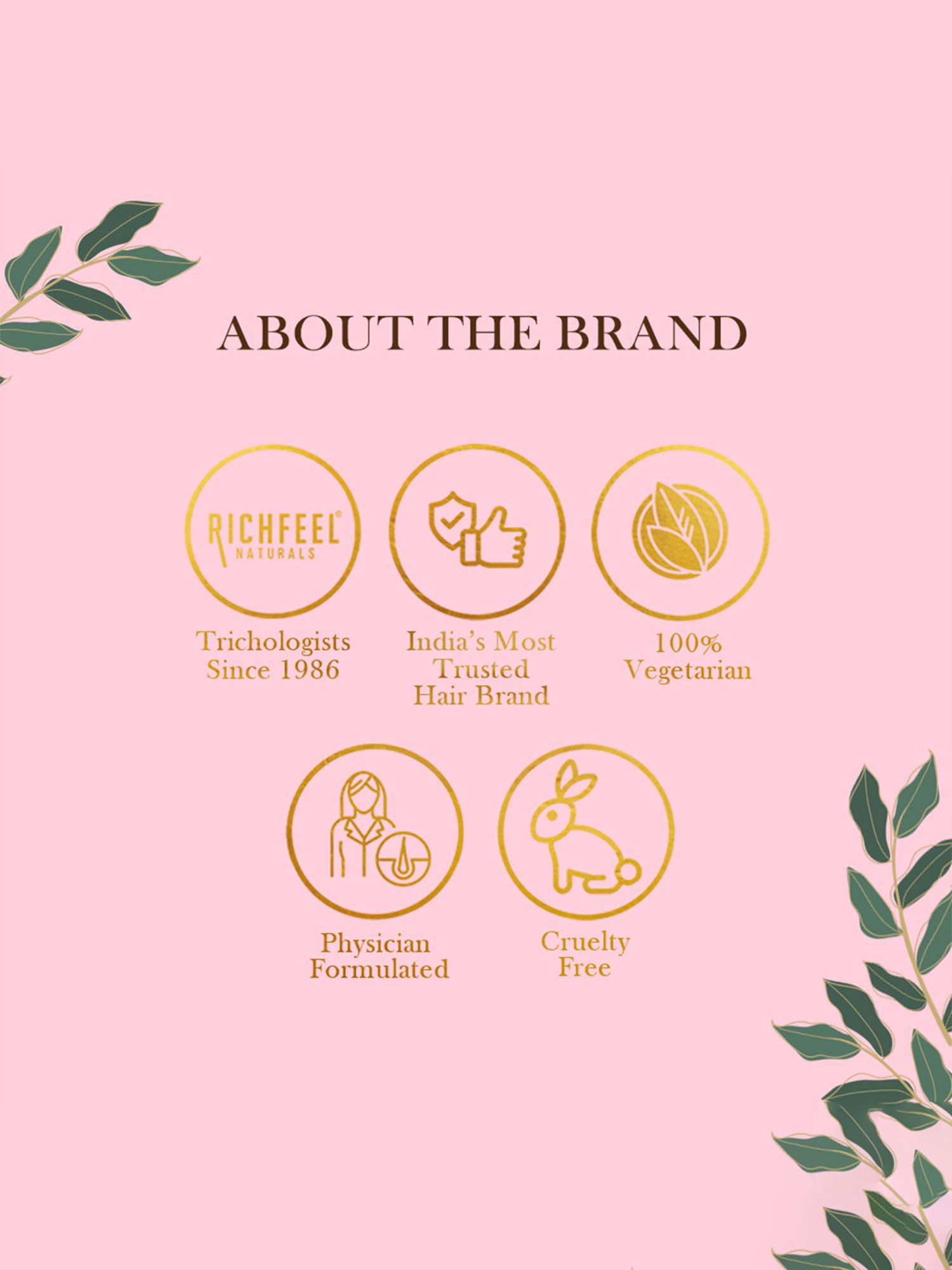 Richfeel Skin Logix Spot Reduction Serum - 30 ml