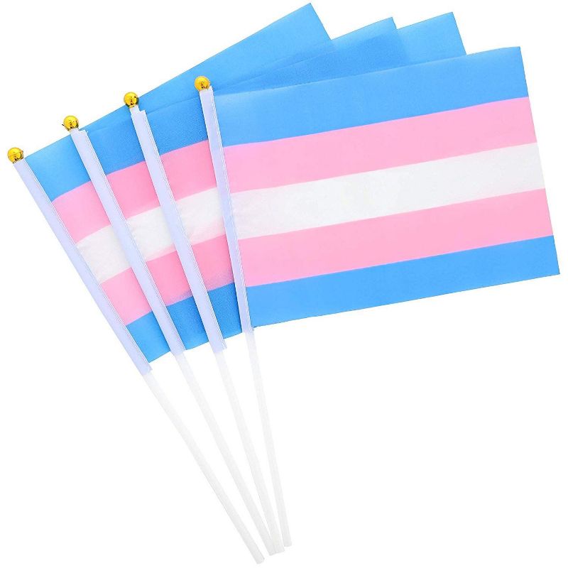 Juvale 60 Count Transgender Handheld Pride Flags, LGBTQ Pride Accessories