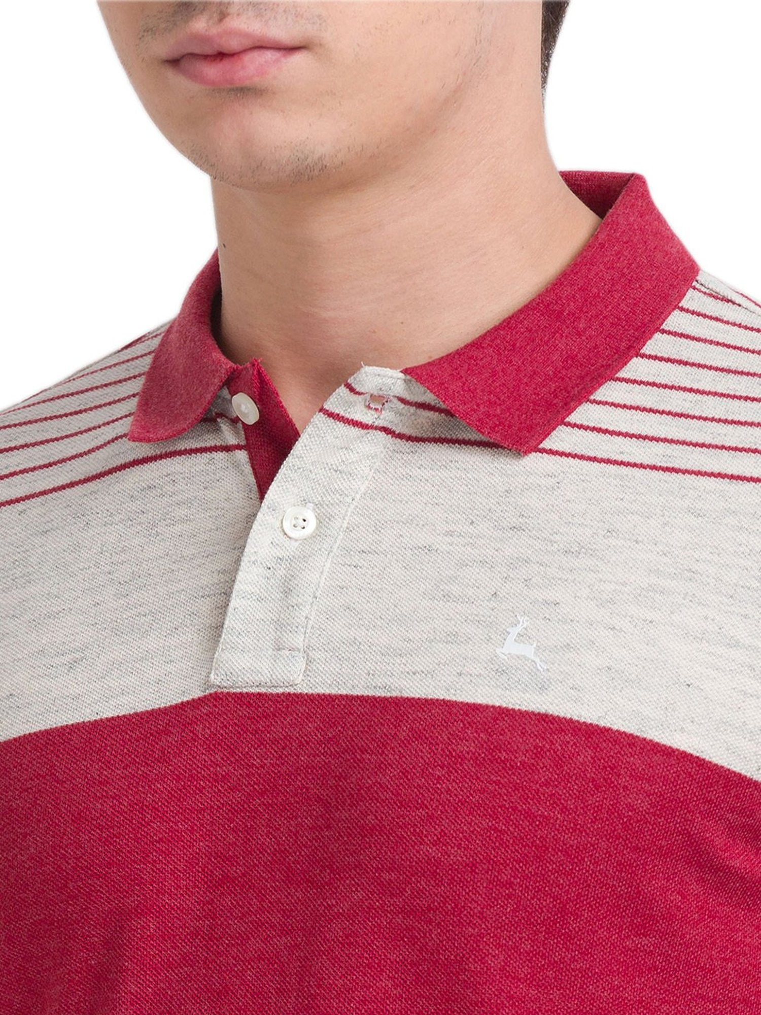 Parx Multicolor Polo T-Shirt