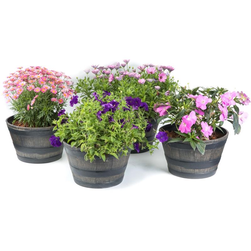 OFF! 16oz Backyard Pretreat Outdoor Fogger