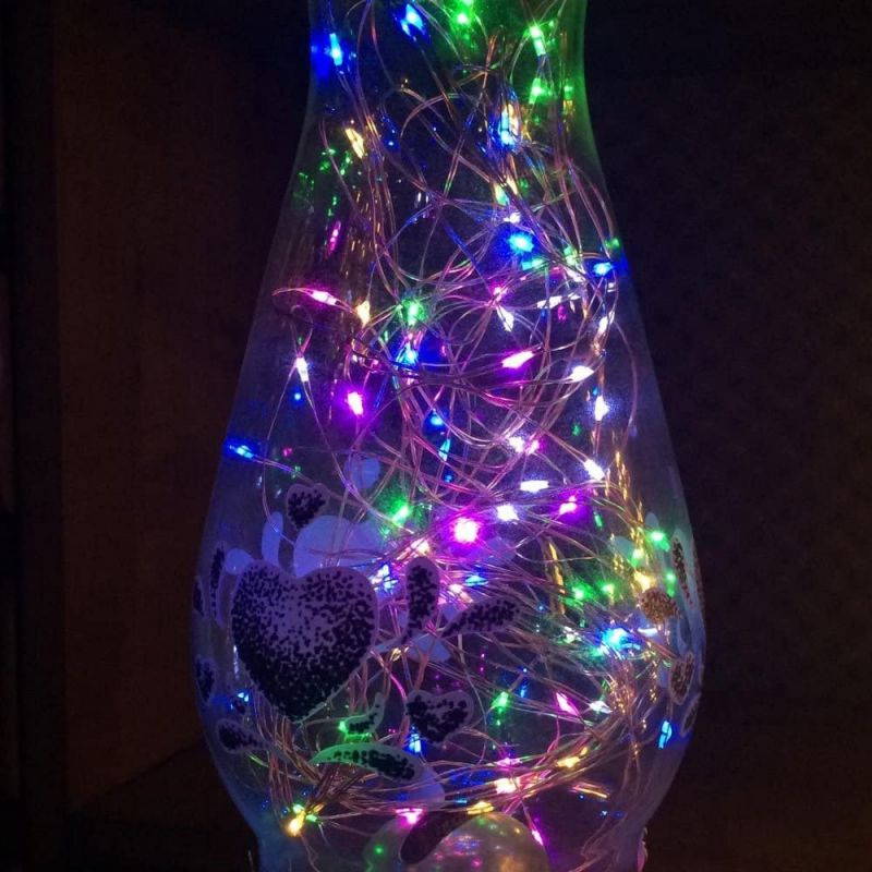 ER CHEN 33ft Led String Lights,100 Led Fairy Starry Lights on 10M Silver Coating Copper Wire String Lights for Christmas (Multicolor)